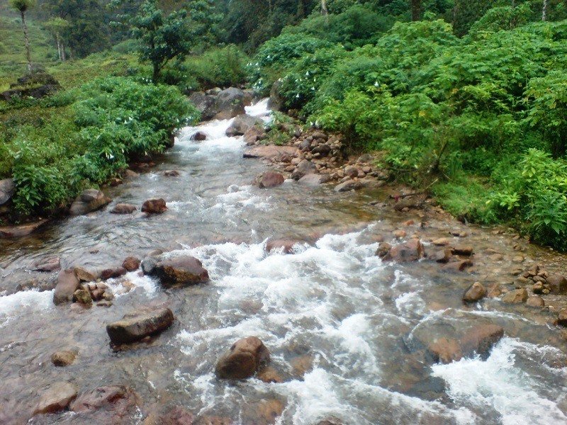 041056209Valparai_Birla_Waterfalls_Main